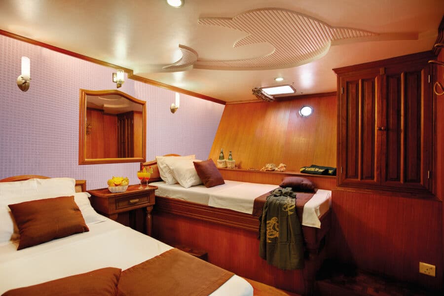 Cabin 3, 6 - Twin Lower Deck - image Cabin 3, 6 - Twin Lower Deck - image