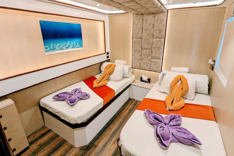 Twin Main Deck - image Twin Main Deck - image