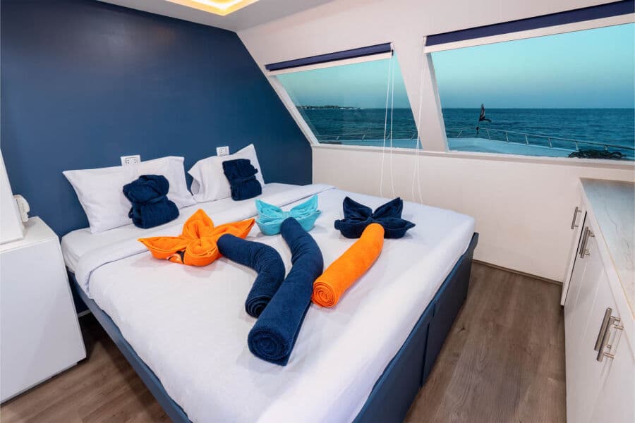 Deluxe Upper Deck - image Deluxe Upper Deck - image