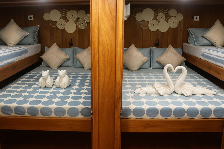 Standard Double Lower Deck - image Standard Double Lower Deck - image